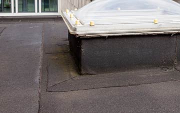 disadvantages of Elton Green flat roofs