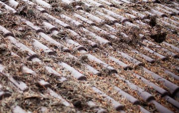 Elton Green roof cleaning companies